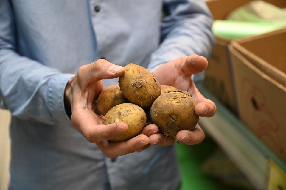 ����������� �������� �������� �������� ��������: ������ ������� �� ��������� ������