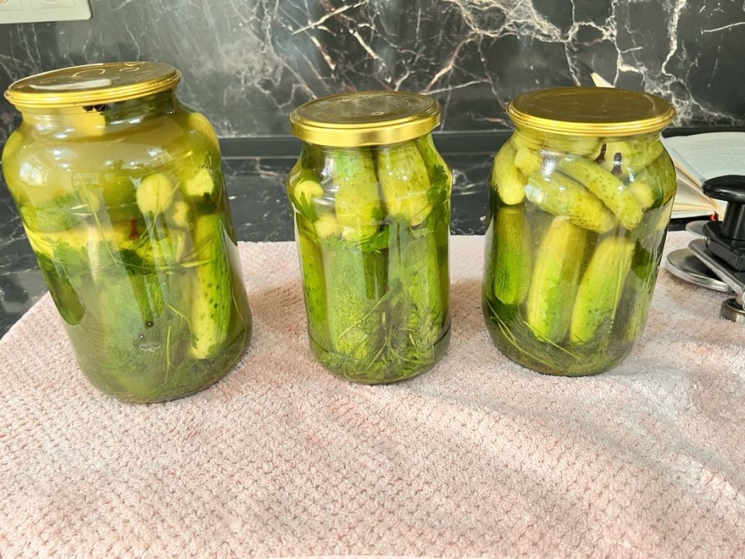 Простые шаги к идеальным соленым огурцам