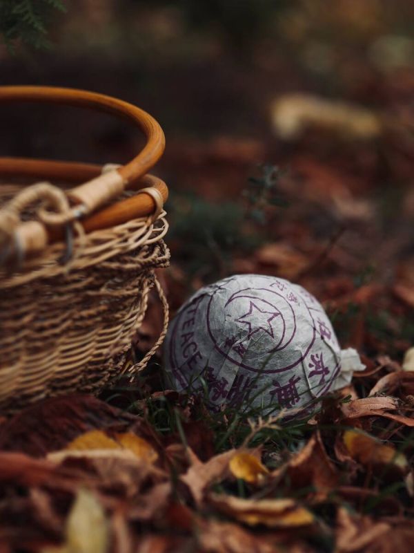 ����� � �����: �������� ������ ����� � ������������ ���� � ���������� ���������