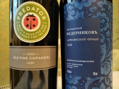 Вино с характером: сравнение Цимлянского Чёрного и Калифорнийского Predator Zinfandel