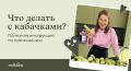 Кабачки как удобное решение на год: простые заготовки и блюда на каждый день