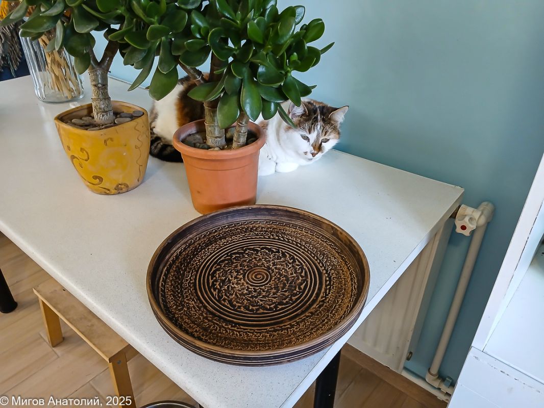 �������� ������������� ��������