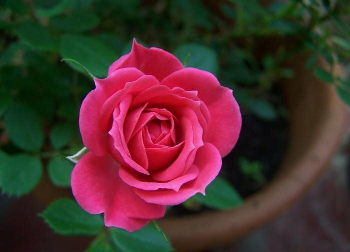 ������� ����� �� ���������� ������: ��� ��������� �� ������� ������� ���