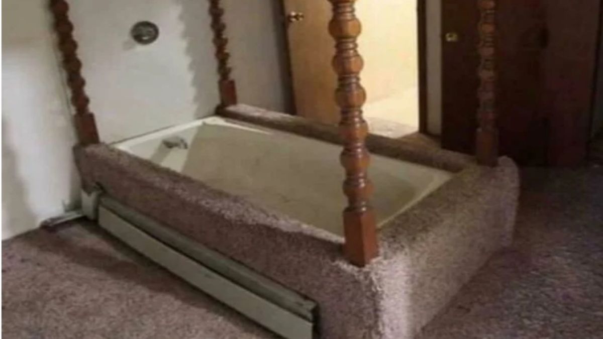 �������������� �������: ��� �������� ���� ���������� ����������� � ���������