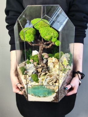 ������ ��� �������: ��� �������� �������� ��� ������ �����