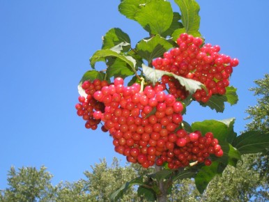 ������: �� ������� �������� �� ����� ����������� �����