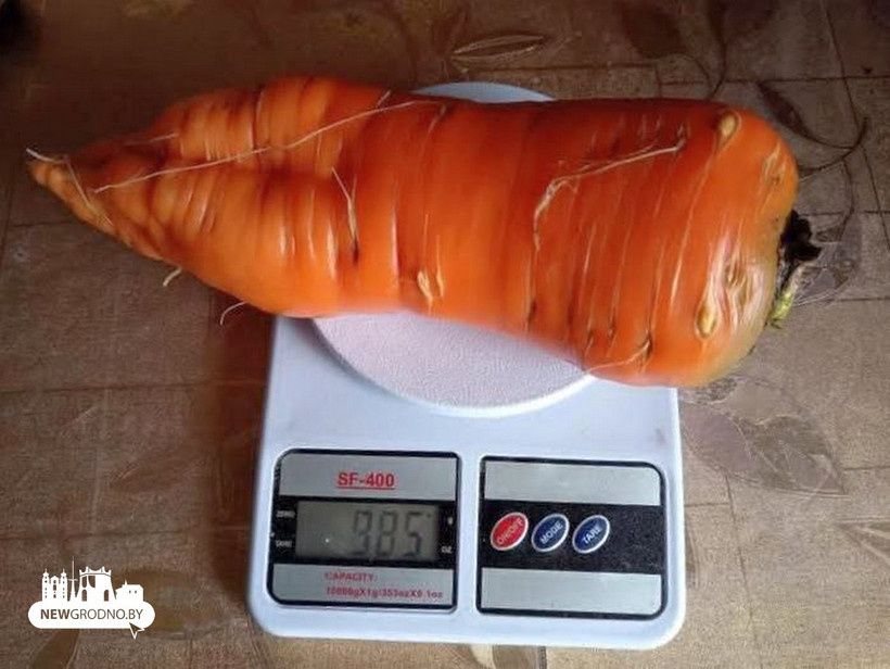 ��������� ������� �� ����������� ������� ���� ����� �����