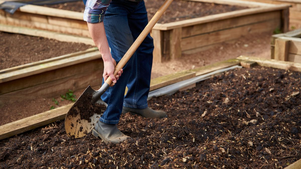 �������� ��������������: ��������� ������ ��� �������� �������� �������