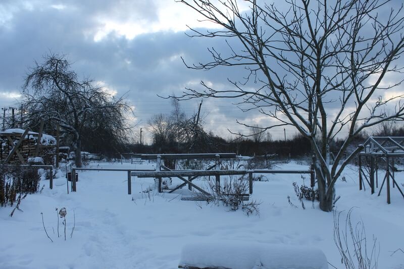 Новый взгляд на хворост: как привычное лакомство превратилось в гастрономический шедевр