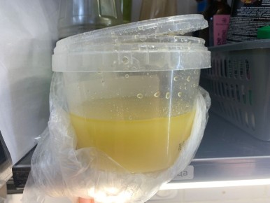 ���������� ���� �����: ����������� ������ �����������