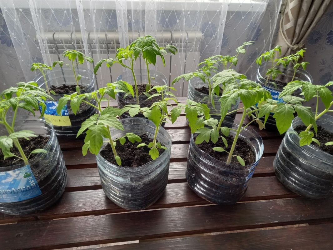 Недорогие средства для стирки: три незаменимых помощника в борьбе с пятнами