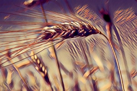 Как голод 1601-1603 годов изменил судьбу России