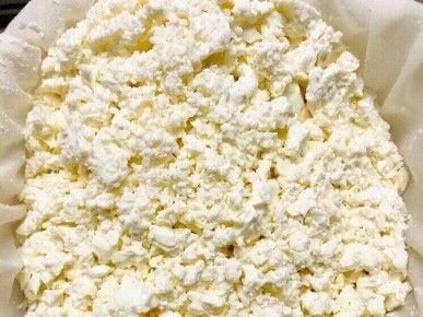 В тульском твороге обнаружено превышение дрожжей