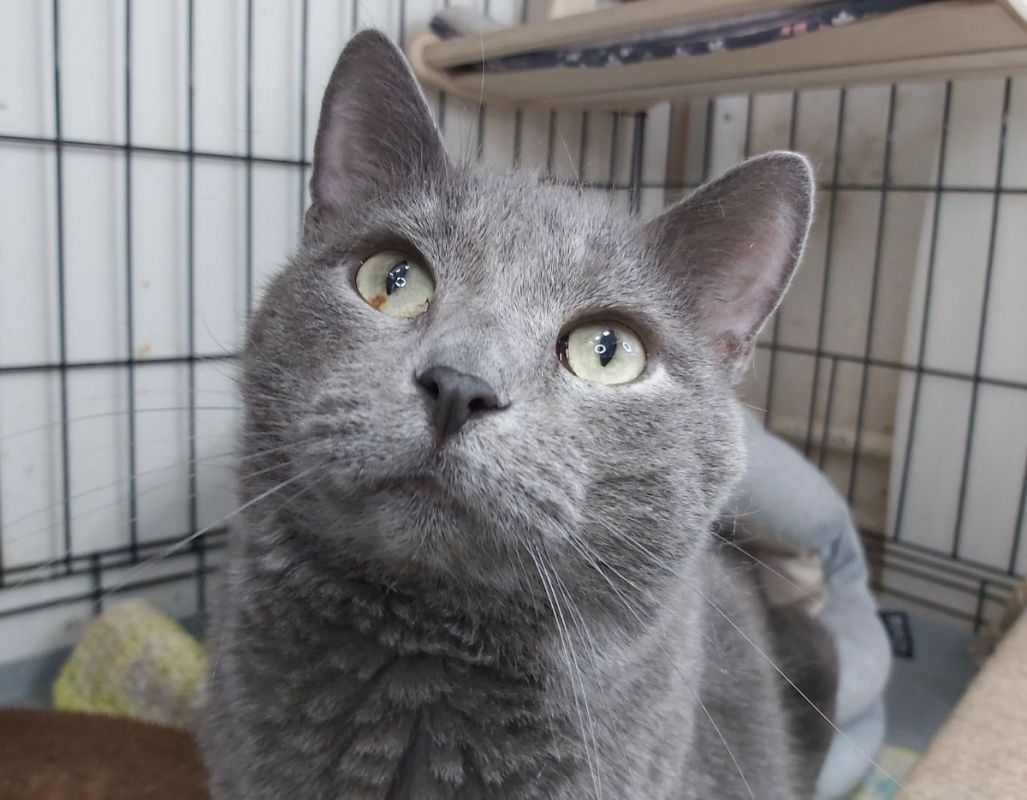 ������ � ������ ���������� ���������