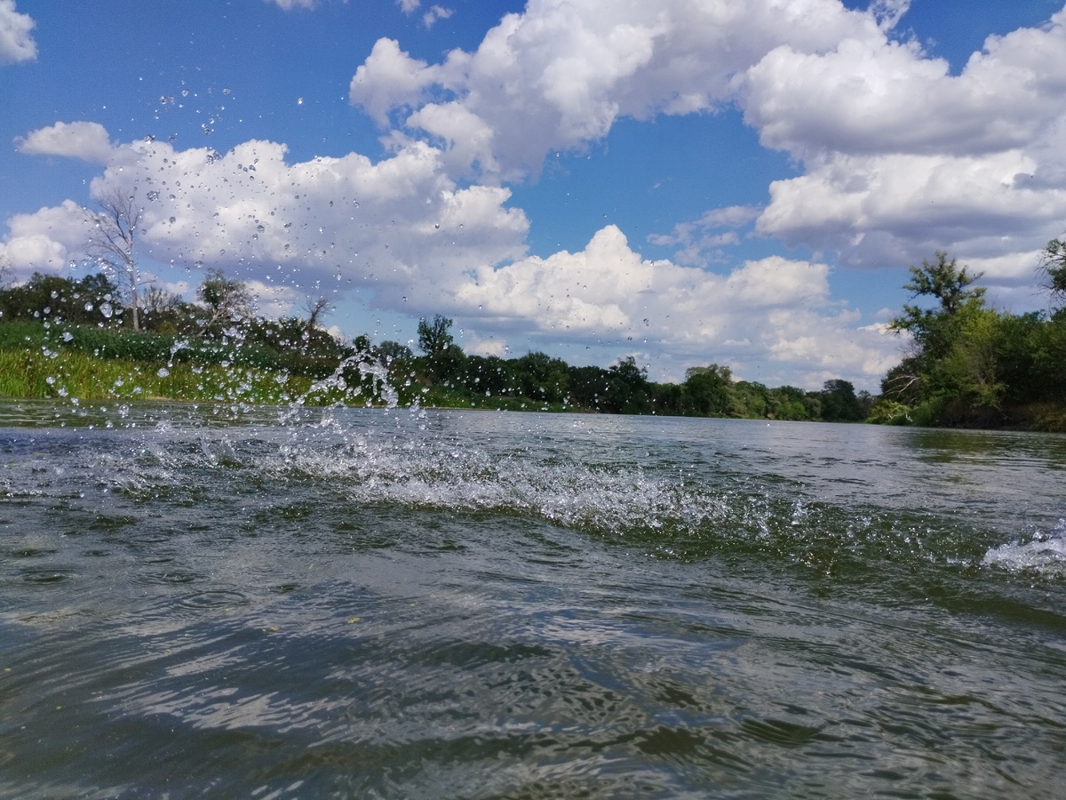 Дождевая вода: удивительные преимущества и скрытые угрозы