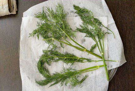 ����������� ������ ����� ������: �������� ��� ���� ����� ������