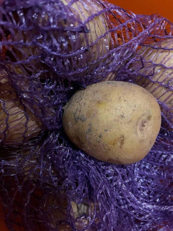 ��������� ��� �������: ��������� ����� ����� ������� � ������