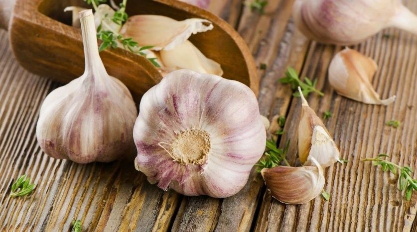 Чеснок: древний союзник здоровья и долголетия
