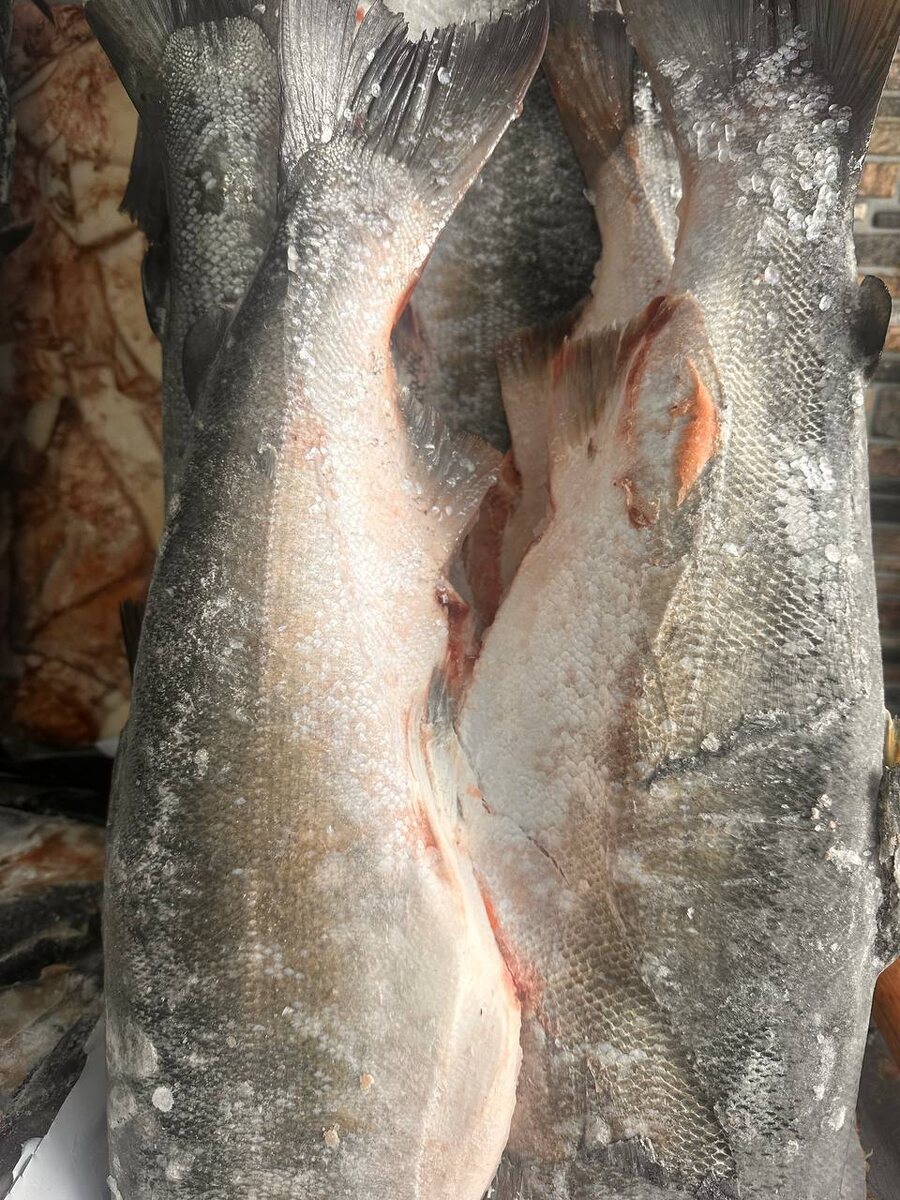 Кижуч: Дальний Восток на вашей тарелке