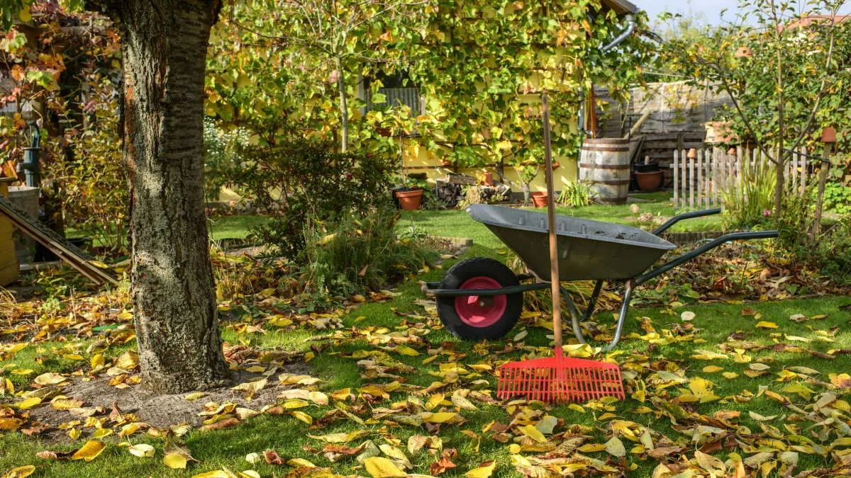 ��� �������� ���������������� ������ �� ������� ������