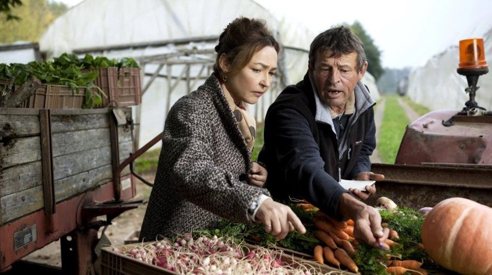 ���������� ������: ������� � �������-������ � ���������� ���� � ���������