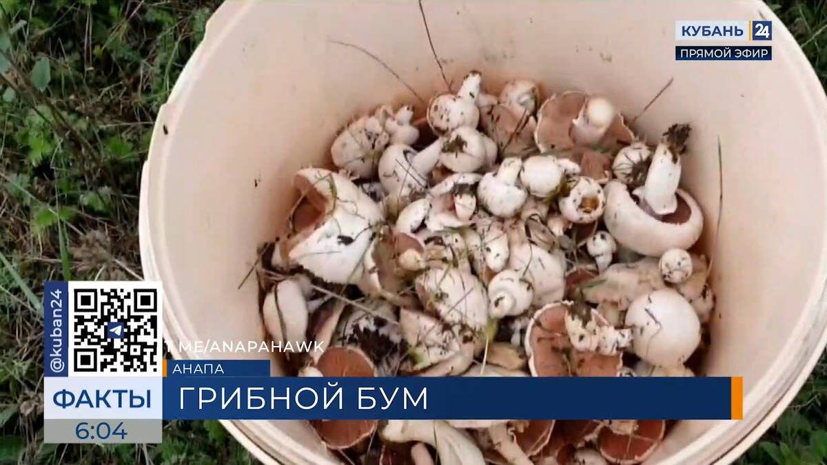 ��������� �������: ������ ����������� ��� ������ ���������� �������� �������