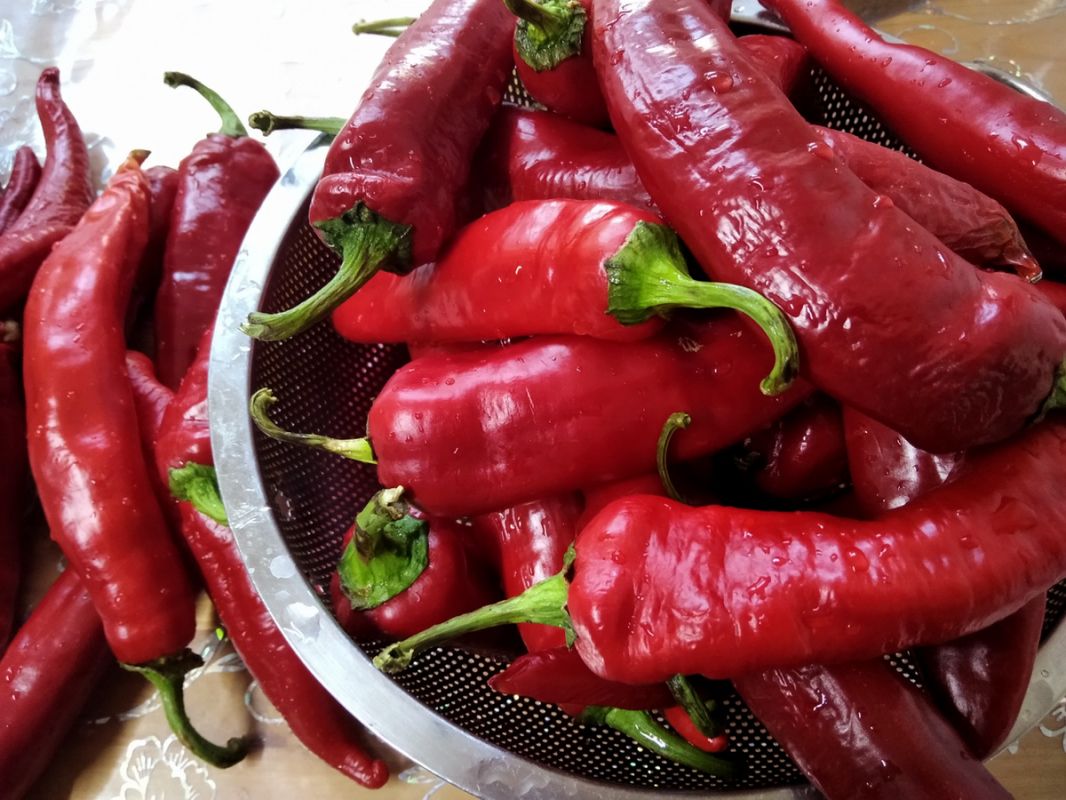 ��� ��������� ������ ����� �� ����