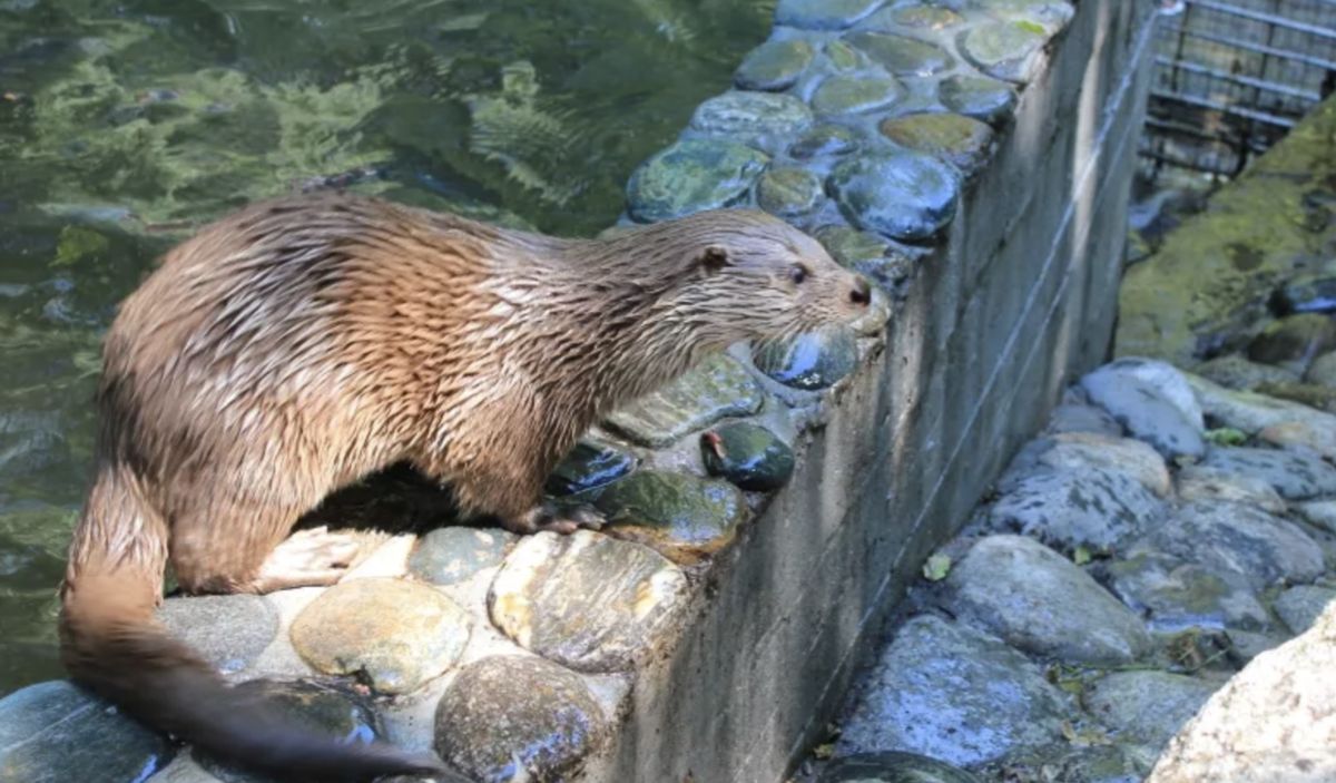 ������������ ����� �������� � ������������ �����������