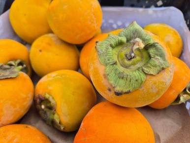 В Оренбуржье пресекли ввоз зараженной хурмы из Узбекистана