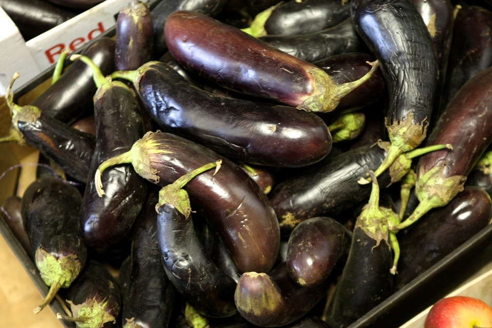 Лучшие сорта баклажанов для Новосибирска: советы агронома