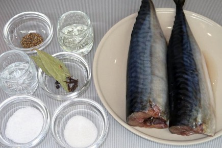 ���������� ����������� �������� � �������� ��������