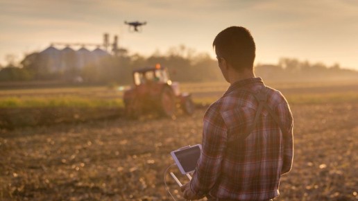 ���������� � ���� ��������������