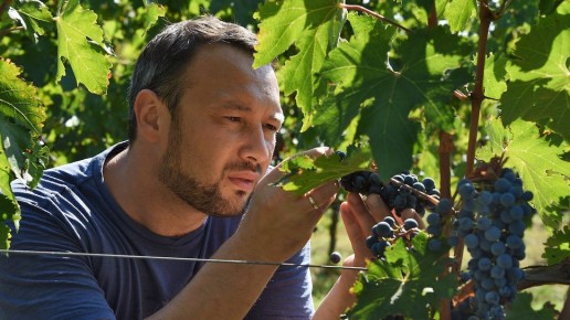 Павел Швец: нужно заниматься продажами на десятилетия вперед