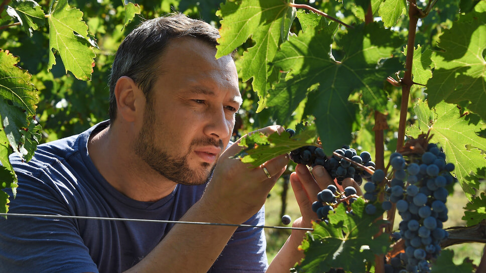 Павел Швец: нужно заниматься продажами на десятилетия вперед