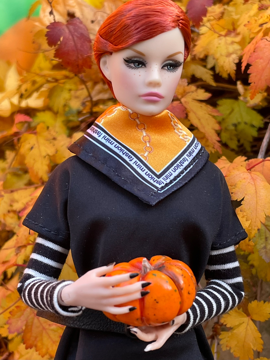 Тепло осени: Как выбрать идеальную тыкву для уютного вечера