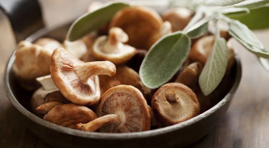 Октябрьские дары природы: что стоит есть и готовить в этот месяц