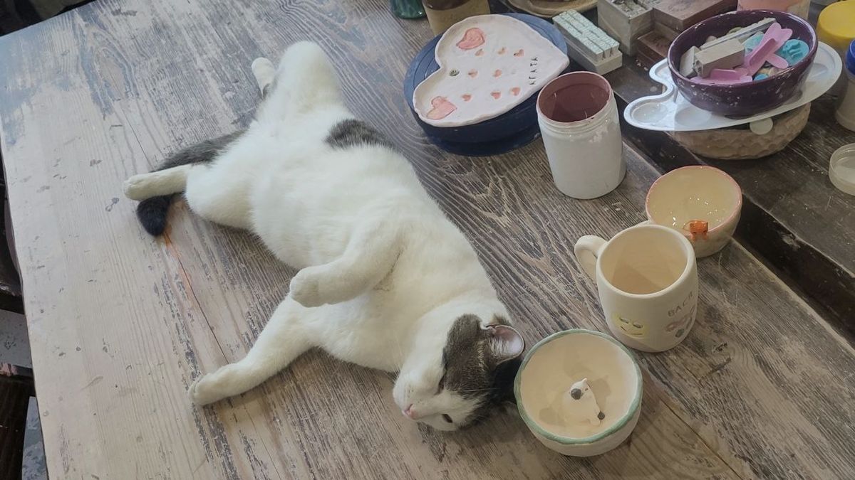 ��� �������: ��� �������� �������� ���� ������� ��������� ����������