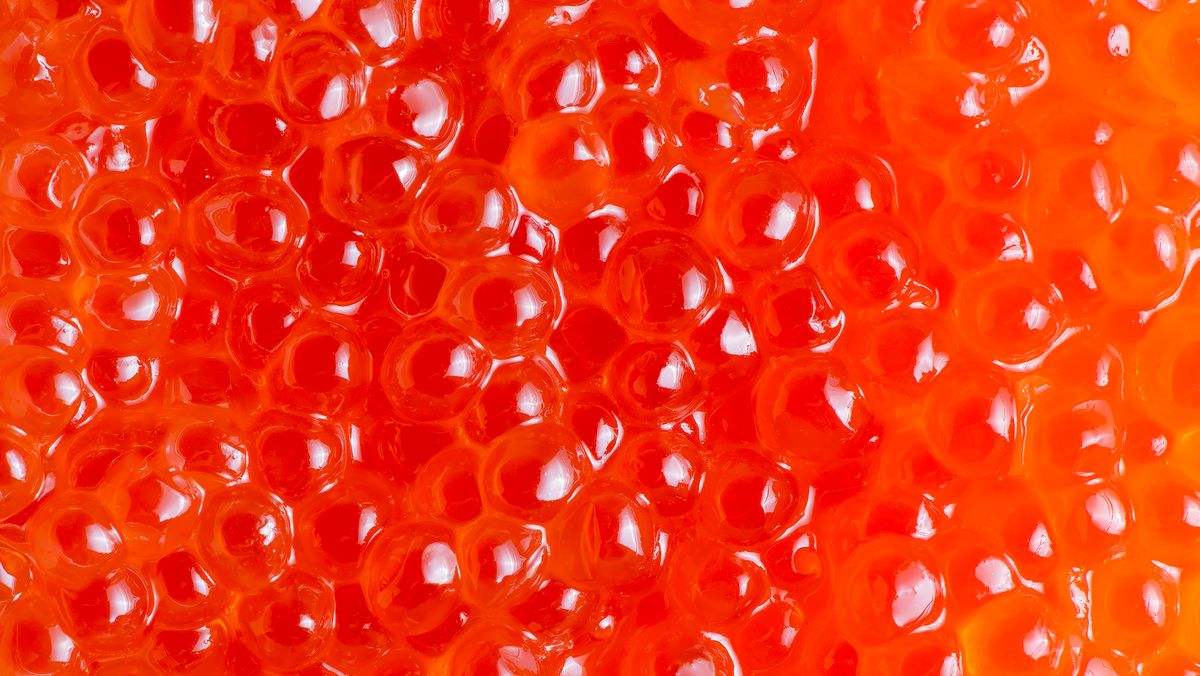 ��� ���������� ��������� ������� ����: ������ �� �������