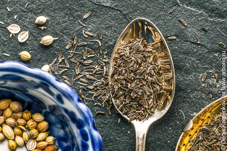 Зира: секрет аромата восточной кухни