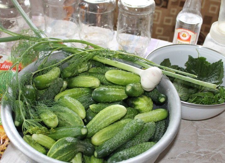 ��� �������� ������� ����� � ��������: ������ � �������