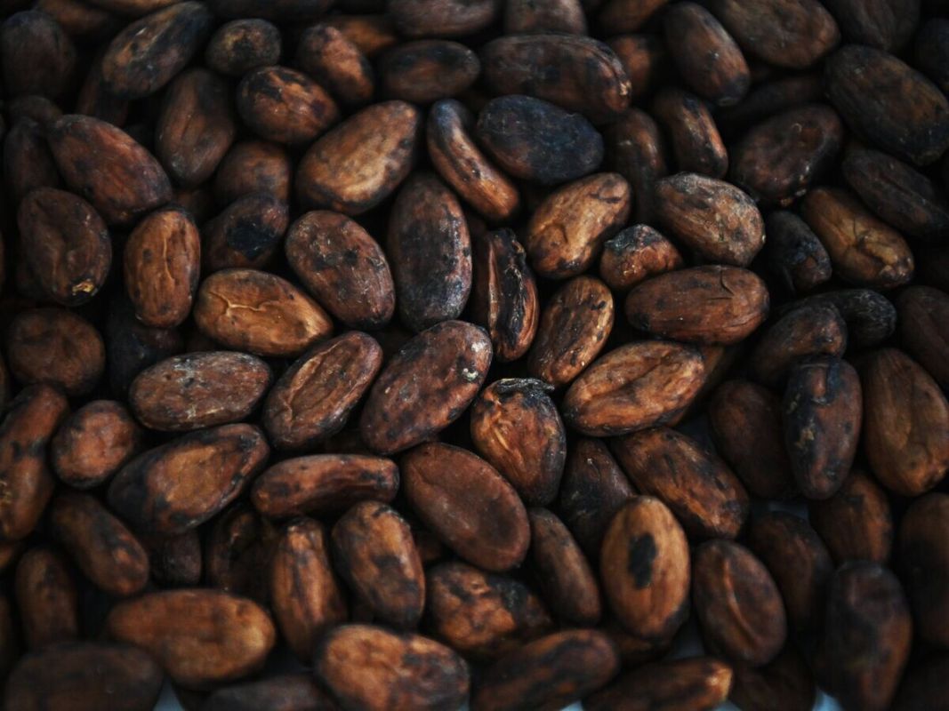 ���� �� �����-���� ���������� ������� �� ��������� �������