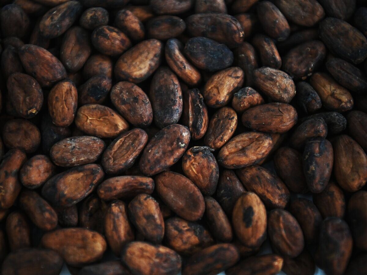 Цены на какао-бобы продолжают падение до рекордных уровней