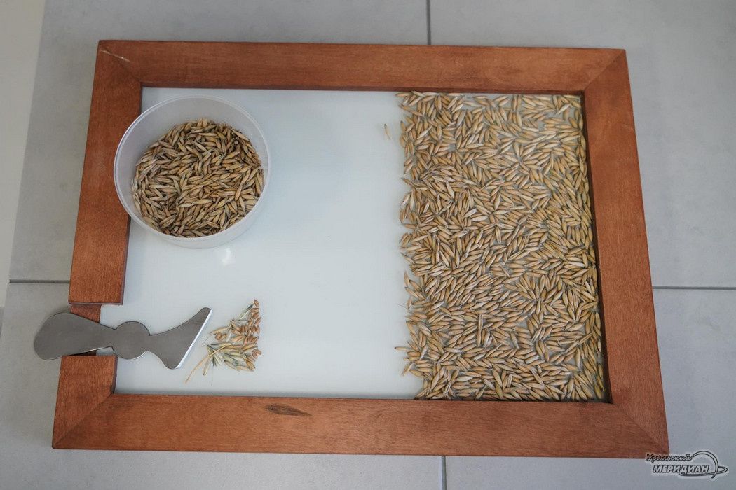 � ������������ ������� ��������� 66 ���� ��������� ������ �� ��������