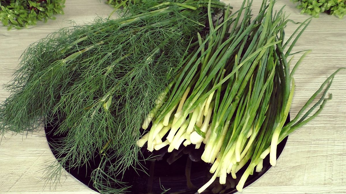 ��� ��������� ������ �� ����: ����������� ������� ���������