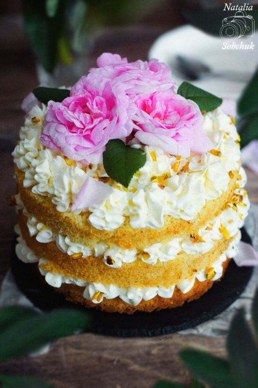 ���� ����������: ��������� ������ � ��������� ��������� � ���������� ������