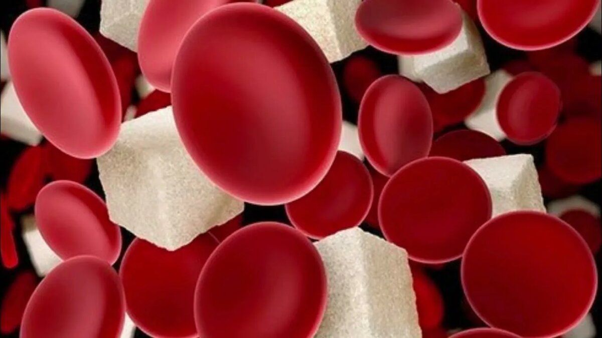 ������������ ������ �������� ������ ������ � �����