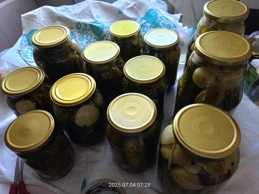 ��� ����������� ��������� ������ �� ����: ������� �������������