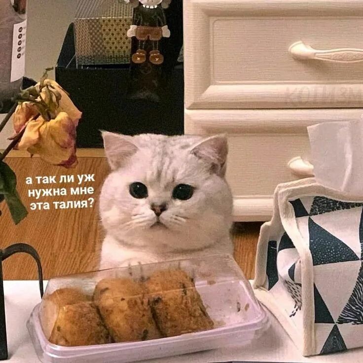 Как справиться с ночным голодом: советы и рекомендации для здорового сна