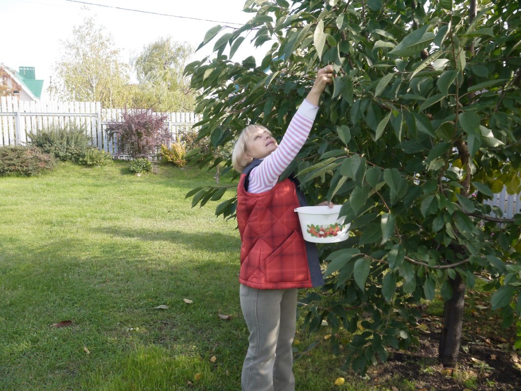 ��������� ���: ������� ������������� ��������� ������� �� ����