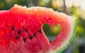 Почему арбуз — идеальный выбор для лета: секреты, польза и сочетания
